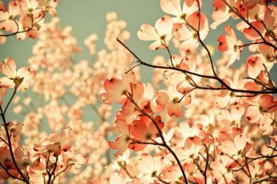 ​旅游祝福语85句