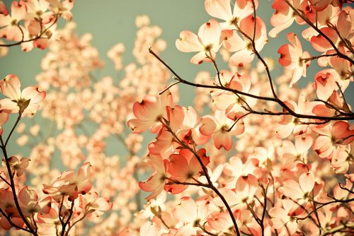 旅游祝福语85句