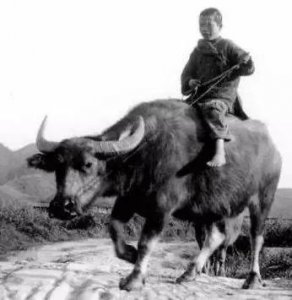 ​抗日战争中的真实故事