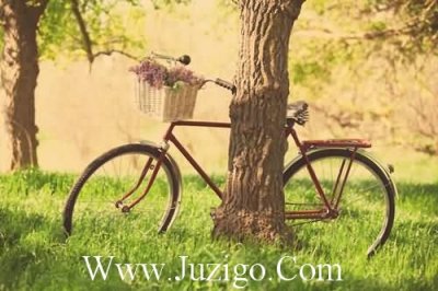 ​为老师写的祝福语84句