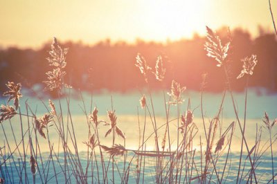 ​知己祝福短信85句