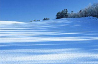 ​2025虎年除夕祝福语大全(精选92条)