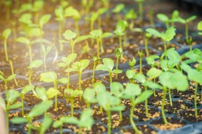 ​农业信息化带来的变化主要表现在哪些方面？