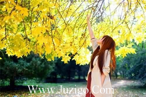 新春贺卡的祝福语81句