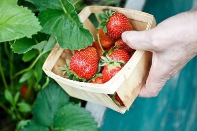 ​中秋节祝福领导短信83句