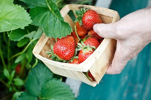 中秋节祝福领导短信83句