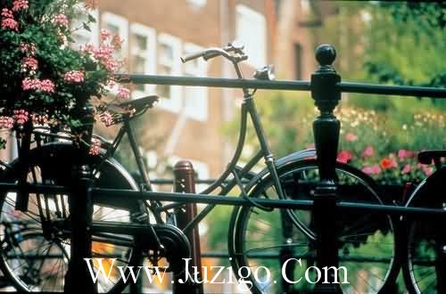 新年祝福感恩短信86句