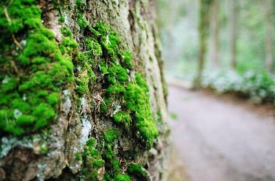 ​冬季养生祝福语80句