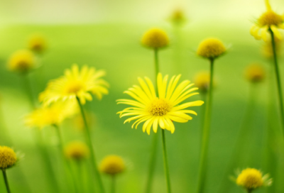 ​地震灾区人民祝福语大全(必备101句)