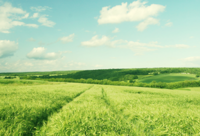 ​婚礼暖心祝福语文案
