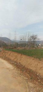 ​五爷的责任田