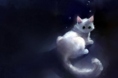 ​小舅子生日祝福语80句