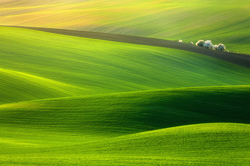 给家报平安的短信100句