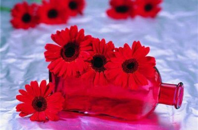 ​虎年祝新婚快乐的祝福语文案(精选85条)