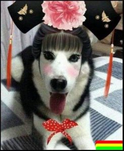 ​笑图～一笑而过！