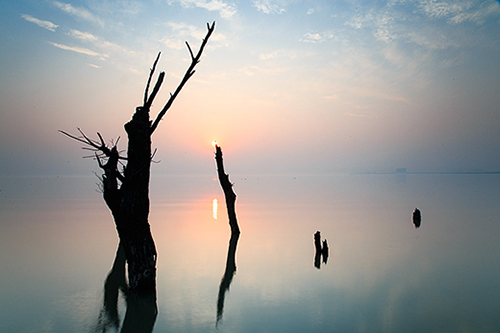 给全班同学的祝福语55句