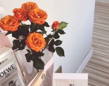 ​24节气惊蛰优美的句子