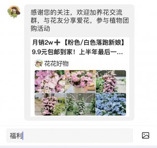 ​吊兰叶子以宽为美，做好这5点，吊兰颜值嗖嗖上升！