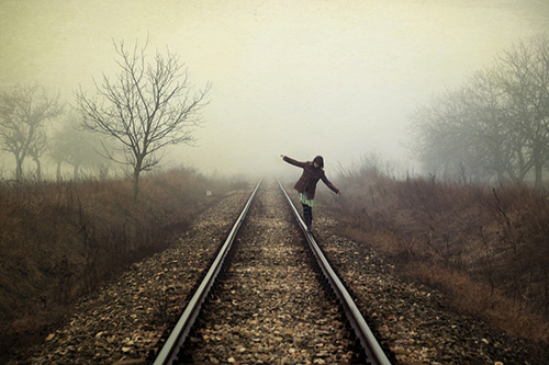 猪年短信祝福80句