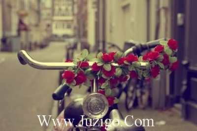 ​男孩满月宴祝福语【四篇】