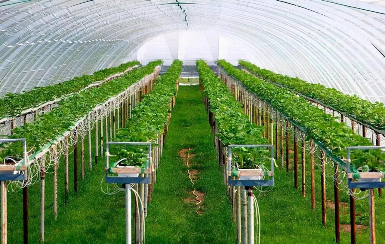 以色列军事实力排名(弹丸小国以色列凭什么在中东这么豪横)