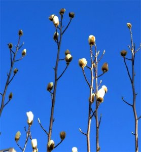 ​上访不当也会违法的（详解）