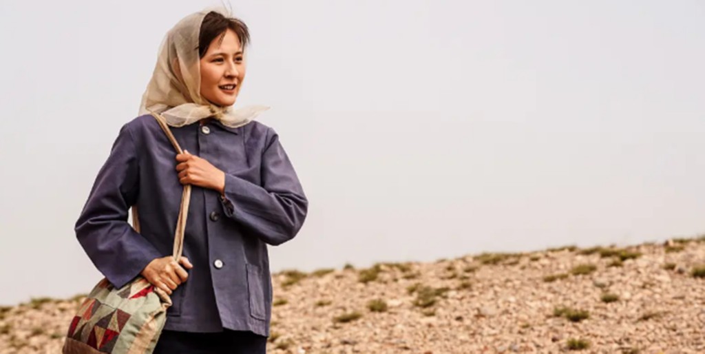 扮猪吃老虎的电视剧有什么_豆瓣评分最高的国产剧榜单 扮猪吃老虎的电视剧有什么_豆瓣评分最高的国产剧榜单