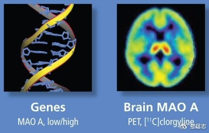 天才杀人狂：熏陶经过钻研祖宗的犯法史创造暴力本来隐蔽在基因里