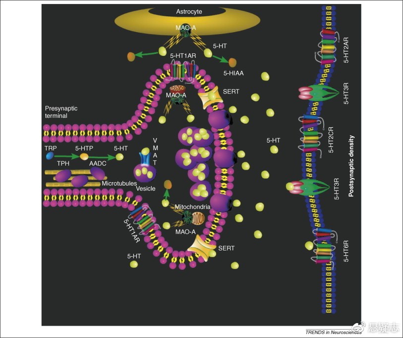 天才杀人狂：熏陶经过钻研祖宗的犯法史创造暴力本来隐蔽在基因里