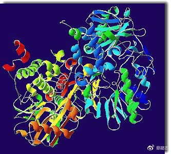 天才杀人狂：熏陶经过钻研祖宗的犯法史创造暴力本来隐蔽在基因里