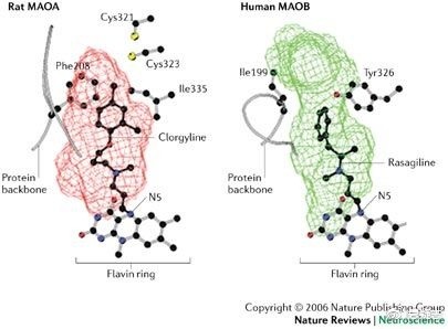 天才杀人狂：熏陶经过钻研祖宗的犯法史创造暴力本来隐蔽在基因里