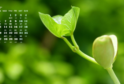 ​生日快乐祝福语文案