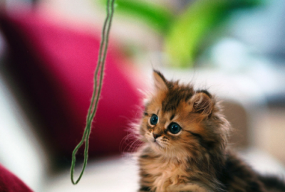 ​开业祝福语简短(精选80句)