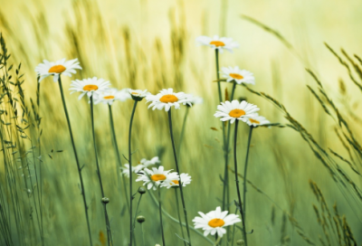 ​关于结婚的美好祝福语(必备81句)