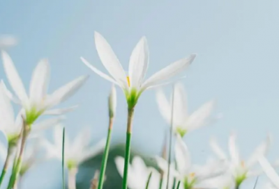 ​祝福情人新年快乐的话