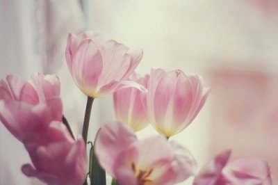 ​朋友辞职祝福语88句