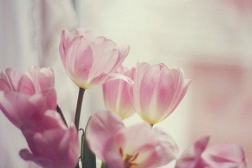 朋友辞职祝福语88句