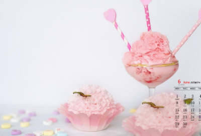 ​开工大吉祝福语精致大全,恭祝开工大吉的祝福语【合集77句】