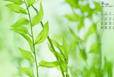 ​亲人结婚祝福语简短