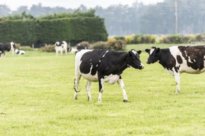 ​资本家的精心布局：致癌除草剂，转基因种子，孟山都发家史泯灭人性