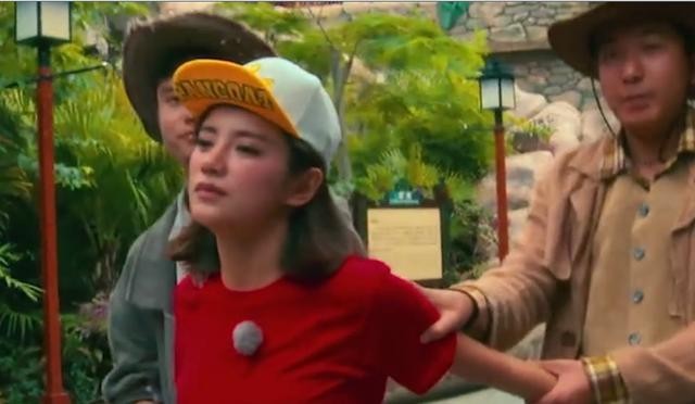 伊一个人资料(伊一顶替朱丹一姐的位置)