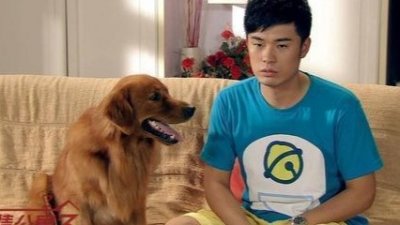 ​陈赫的两任妻子：初恋十三年的许婧，为什么输给了二婚的张子萱？