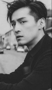 ​胡歌车祸是故意(胡歌车祸详解)