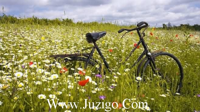 XXXX年精选朋友结婚祝福语