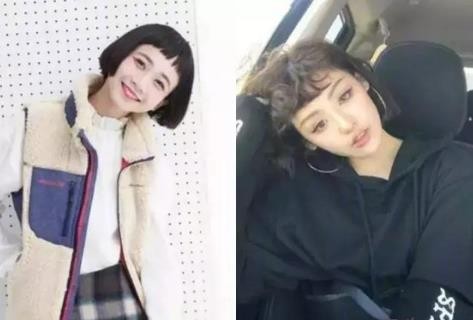 刘阳半藏森林出轨啥意思 半藏森林不带套聊天记录