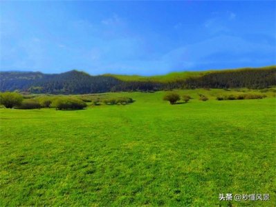 ​重庆一5A景区走红，适合避暑遛娃，拥有南方少有的高山草原风光