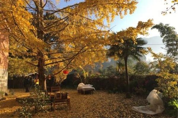 保山旅游必去十大景点(保山十大好玩的旅游景点)(4)