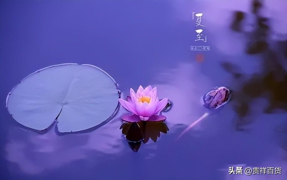 三伏天从什么时候开始至结束(2025年三伏天从什么时候开始)