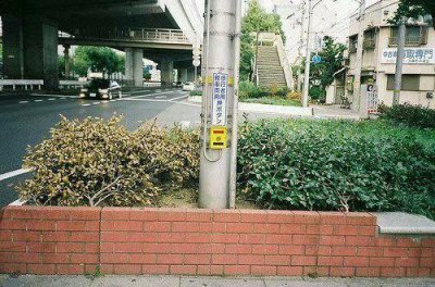 2025年中国人民警察节日文案(精选68句)