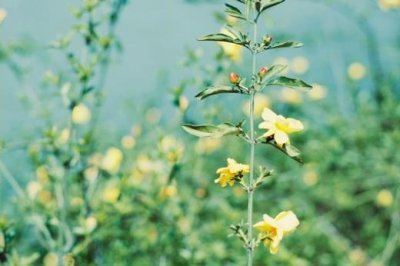 五一劳动节祝福语经典[50条] (五一节日简短祝福)